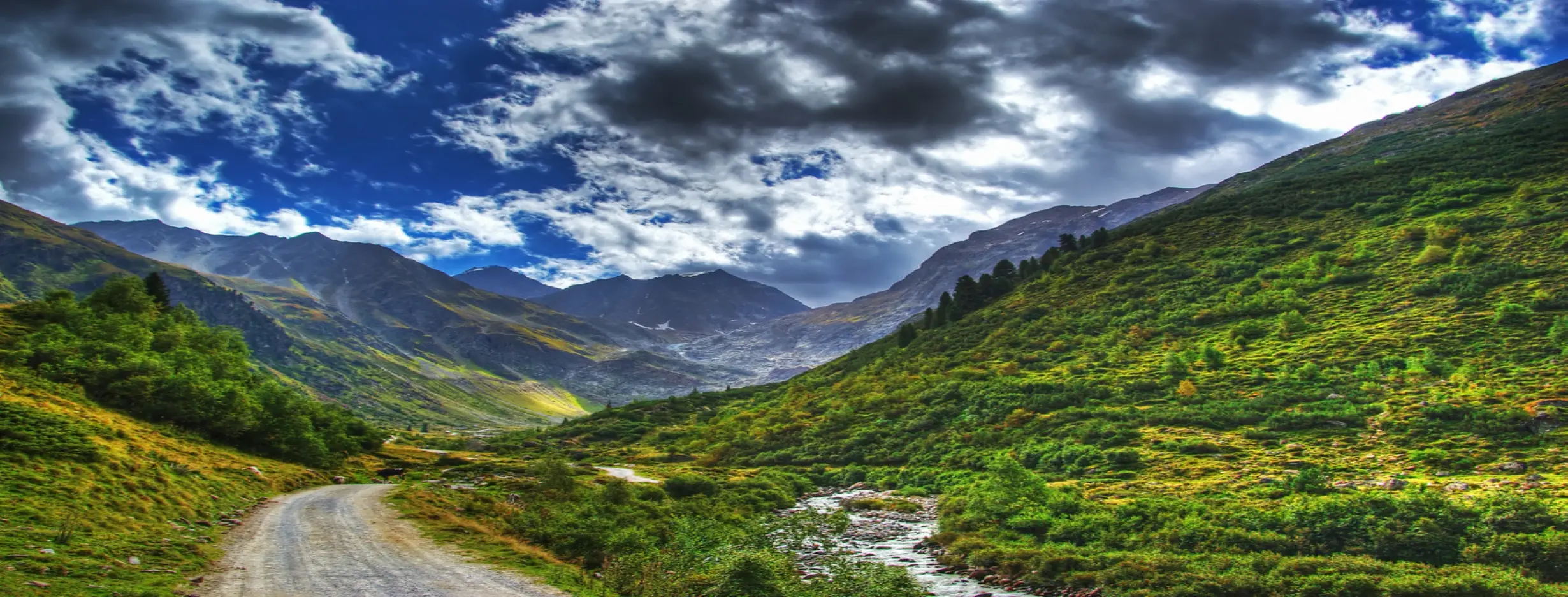 Image for Scenic Majesty